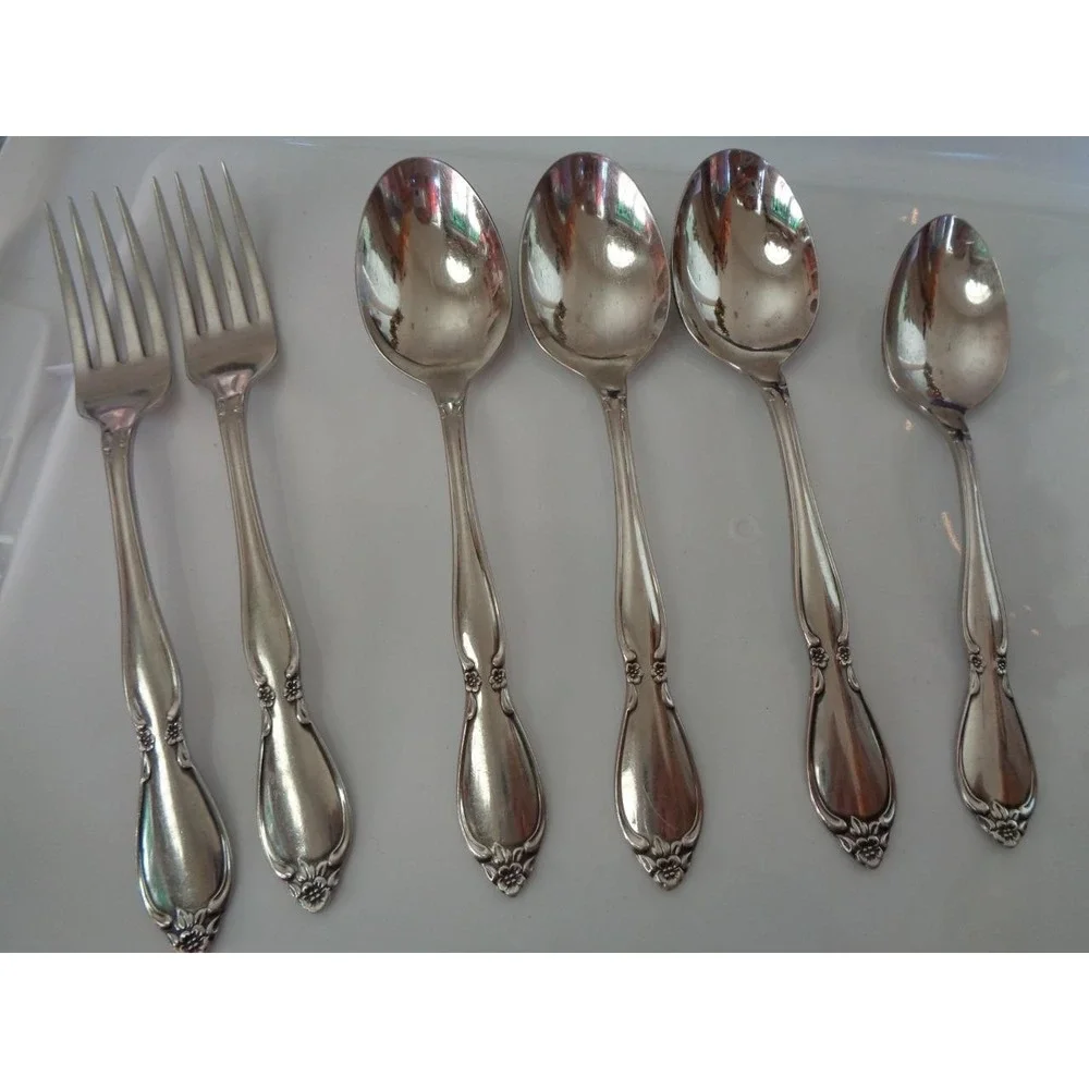 Oneida Community Stainless 9 pieces Dinner Forks Spoons Flatware Chatelaine